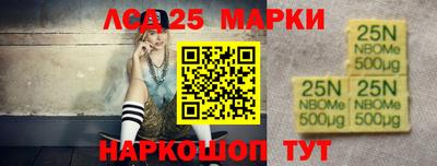 СК Новокубанск