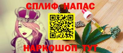 СК Новокубанск