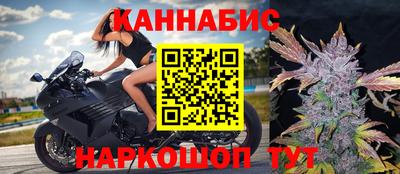 СК Новокубанск