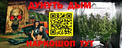 шишки Новозыбков