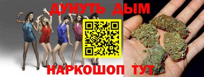 СК Новокубанск