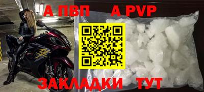 СК Новокубанск