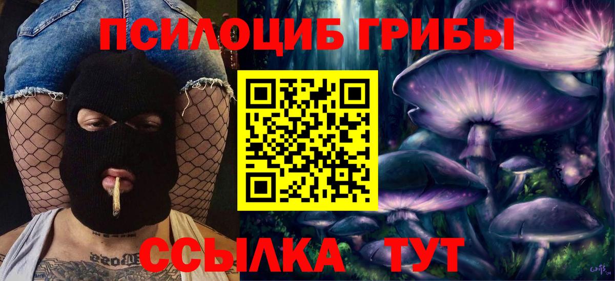 Псилоцибиновые грибы Psilocybe  Вход с VPN  Сосновоборск  Псилоцибиновые грибы мицелий 